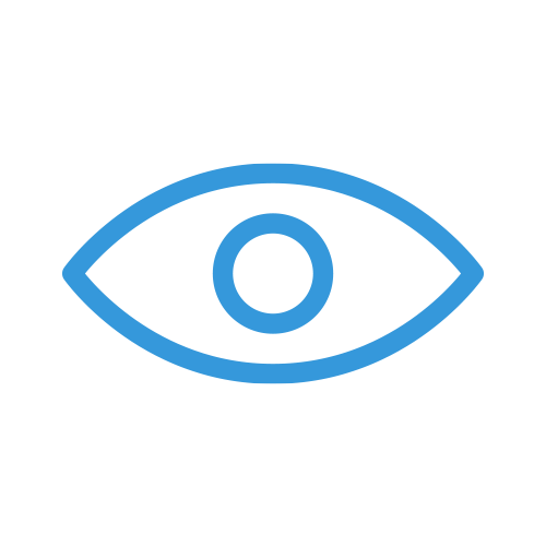 Vision Plan Icon