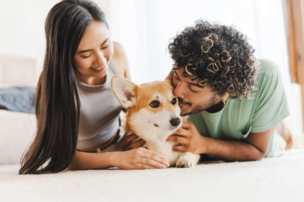 Pet Coverage and Lifestyle Plans Benefits for a Happy Workforce